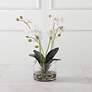 3_Uttermost Glory White Orchid 13"H Faux Flowers in Container more views