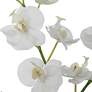 4_Uttermost Glory White Orchid 13"H Faux Flowers in Container more views