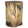 2_Uttermost Habitat Natural Tamarind Wood Accent Stool