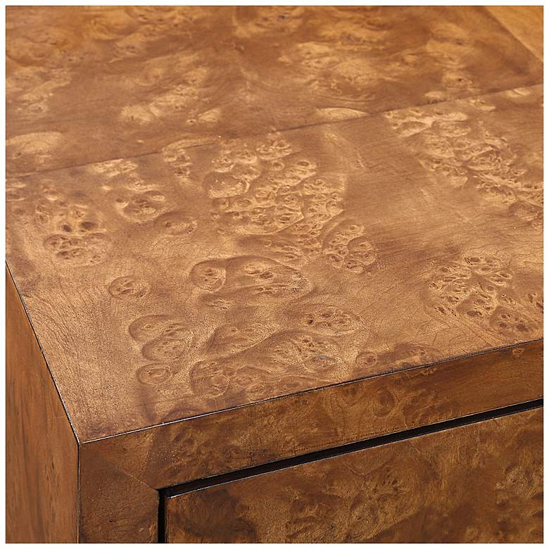 Image 5 Uttermost Jethro 40" Wide Burl 2 Door Cabinet more views