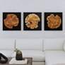 1_Uttermost Kolini 20" Square 3-Piece Teak Wood Wall Decor Set