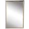 Uttermost Locke Chrome and Gold 20" x 30" Vanity Wall Mirror