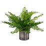 2_Uttermost Maidenhair 14" Fern Accent