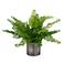Uttermost Maidenhair 14" Fern Accent