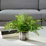 1_Uttermost Maidenhair 14" Fern Accent
