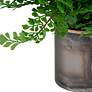 4_Uttermost Maidenhair 14" Fern Accent more views