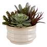 2_Uttermost Mesa 10" Wide Faux Succulents in Pot