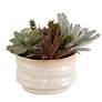4_Uttermost Mesa 10" Wide Faux Succulents in Pot more views