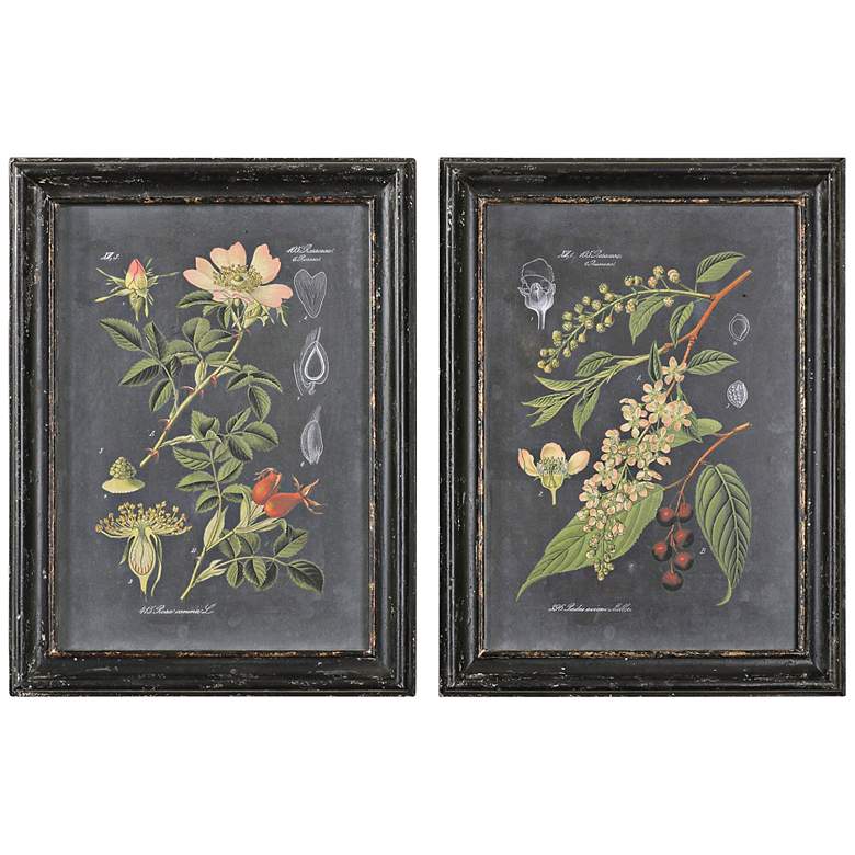 Image 1 Uttermost Midnight Botanicals 2-Piece 32 3/4" High Set