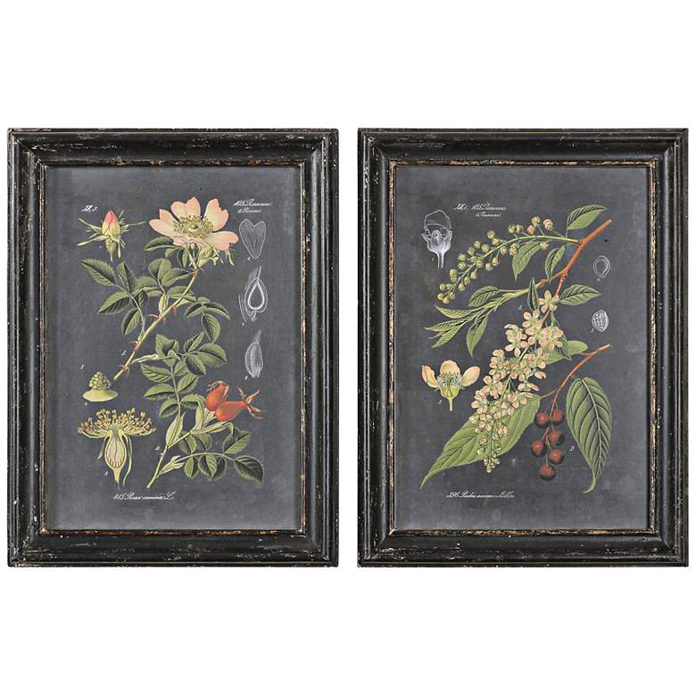 Image 1 Uttermost Midnight Botanicals 2-Piece 32 3/4 inch High Set