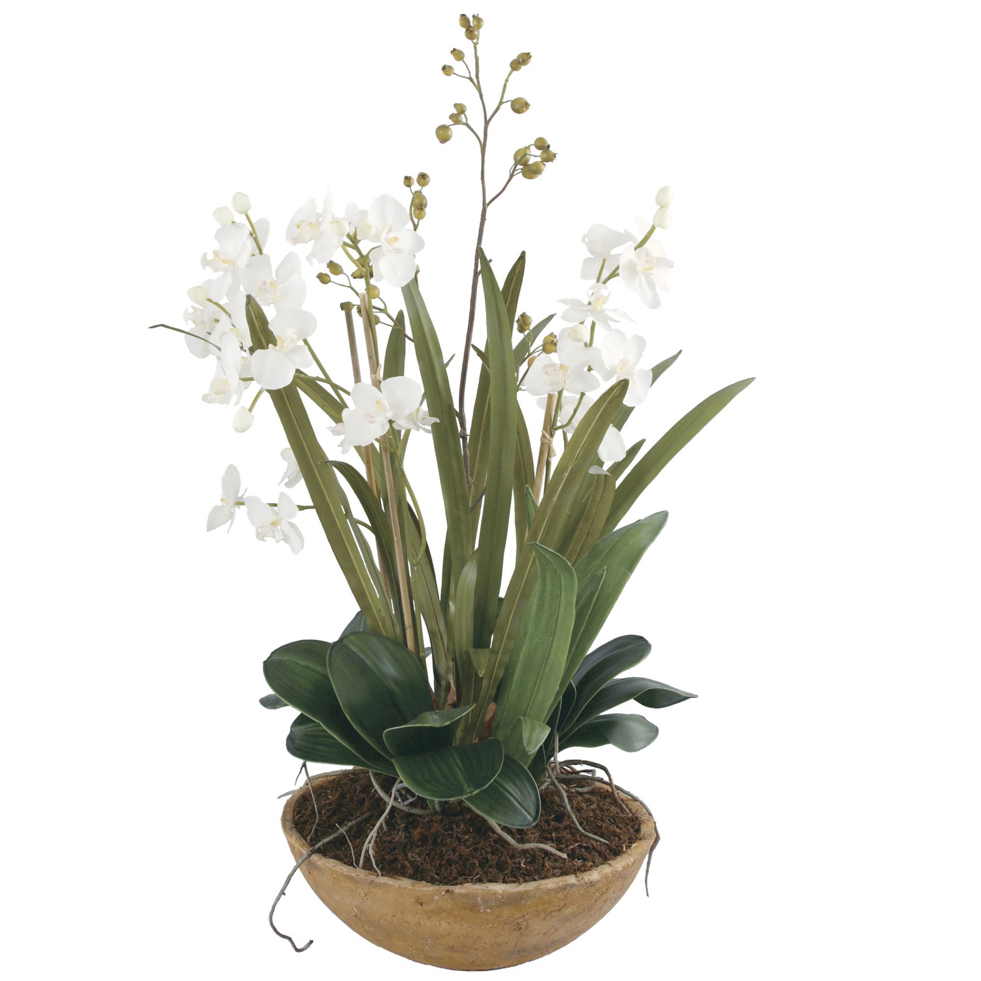 Image 2 Uttermost Moth Orchid Planter Floral Arrangement