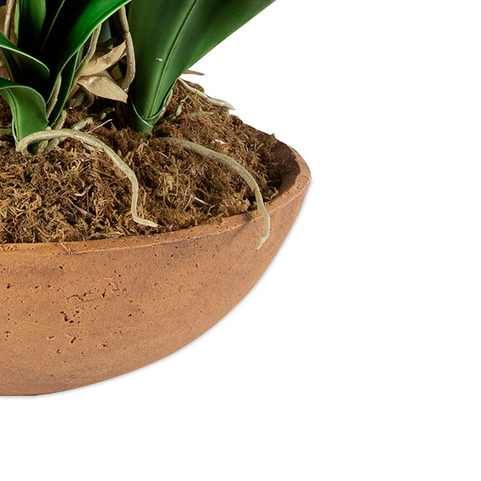 Image 4 Uttermost Moth Orchid Planter Floral Arrangement more views