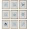 Uttermost Nature's Script 15 1/4" Wide 9-Piece Framed Prints