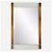 Uttermost Nera 28" x 44" Acrylic and Brass Finish Framed Mirror