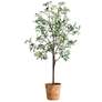 2_Uttermost Olea 67" Potted Olive Tree