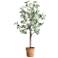 Uttermost Olea 67" Potted Olive Tree