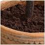 5_Uttermost Olea 67" Potted Olive Tree more views