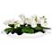 Uttermost Opulence 26" Wide x 12" High Orchid