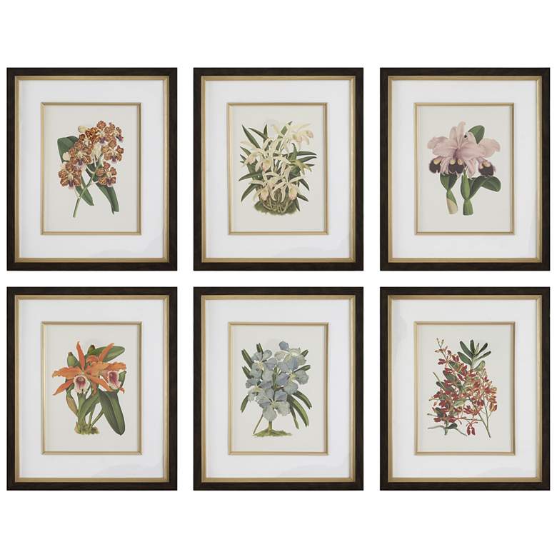 Image 1 Uttermost Orchid Botanical 20 1/2" Wide 6-Piece Framed Prints