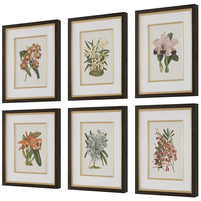 Image 3 Uttermost Orchid Botanical 20 1/2" Wide 6-Piece Framed Prints more views