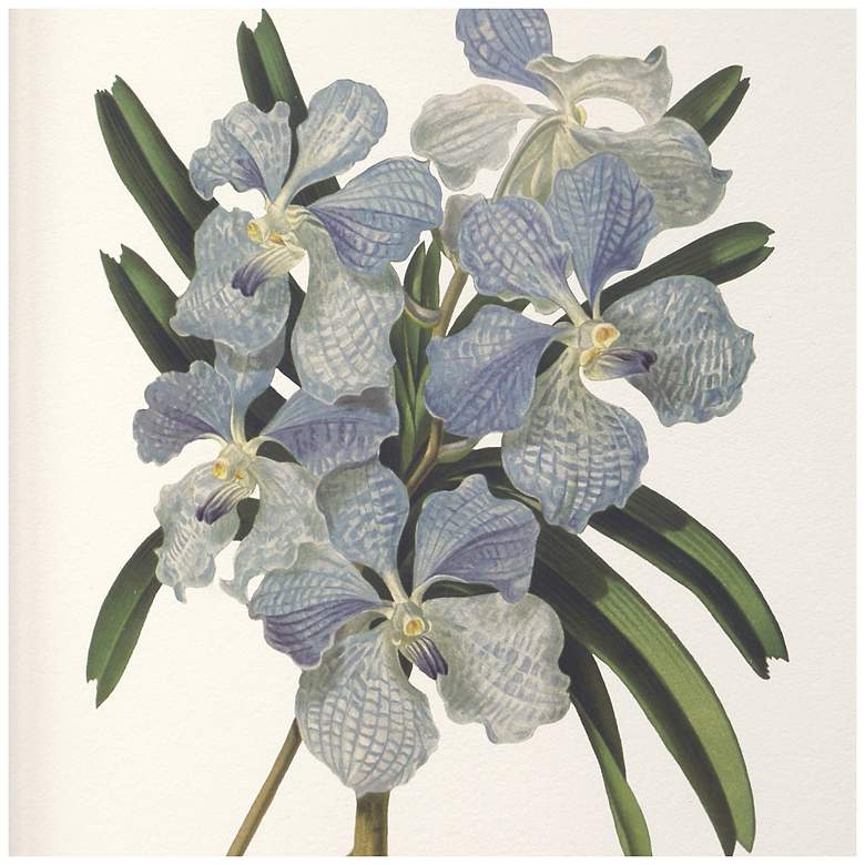 Image 5 Uttermost Orchid Botanical 20 1/2" Wide 6-Piece Framed Prints more views