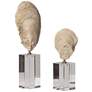 Uttermost Oyster Shell Aged Ivory Sculptures Set of 2
