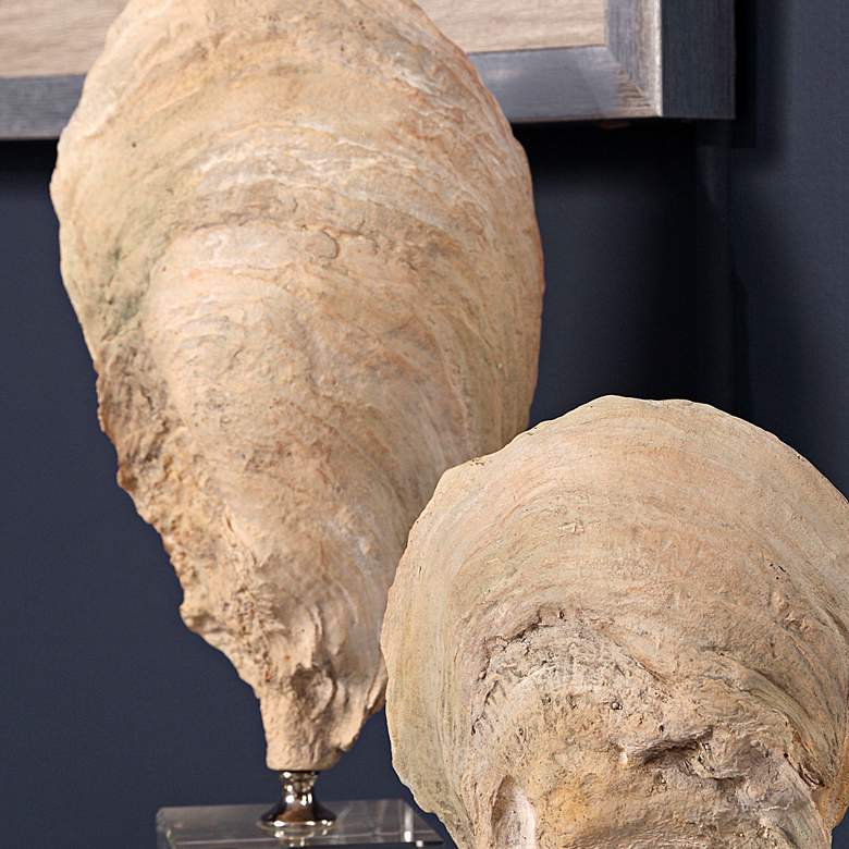 Image 4 Uttermost Oyster Shell Aged Ivory Sculptures Set of 2 more views