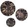 Uttermost Peonia Indoor-Outdoor Bronze 3-Piece Wall Decor
