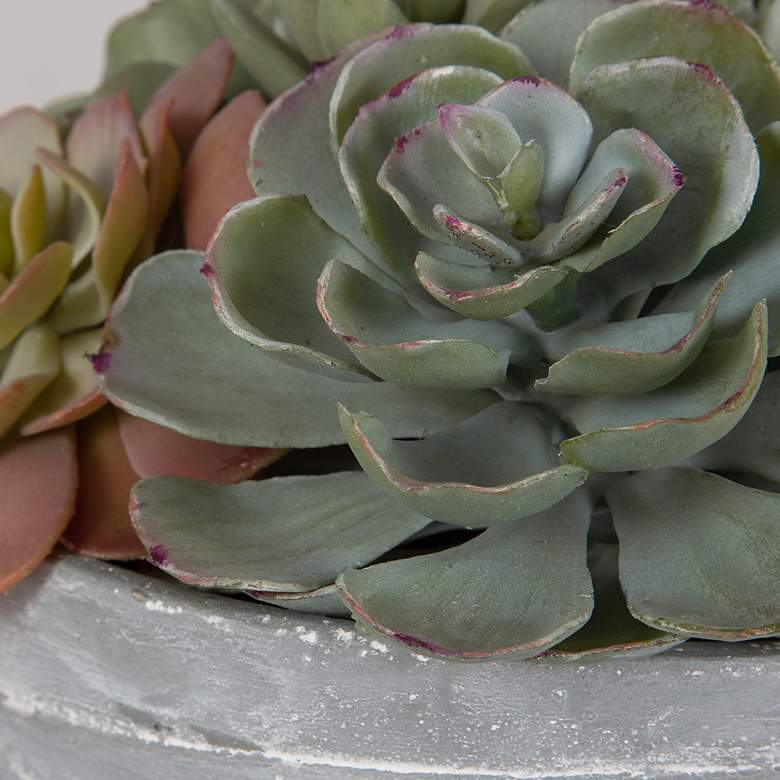 Image 5 Uttermost Peoria Succulent Accent more views