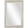 Uttermost Porcius Antiqued Silver 29" x 41" Wall Mirror