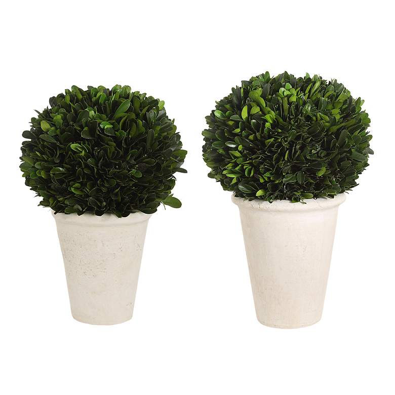 Image 2 Uttermost Preserved Boxwood 2-Piece Domes
