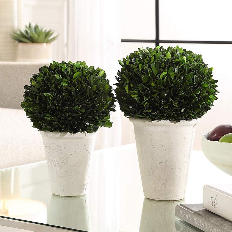 Image 1 Uttermost Preserved Boxwood 2-Piece Domes