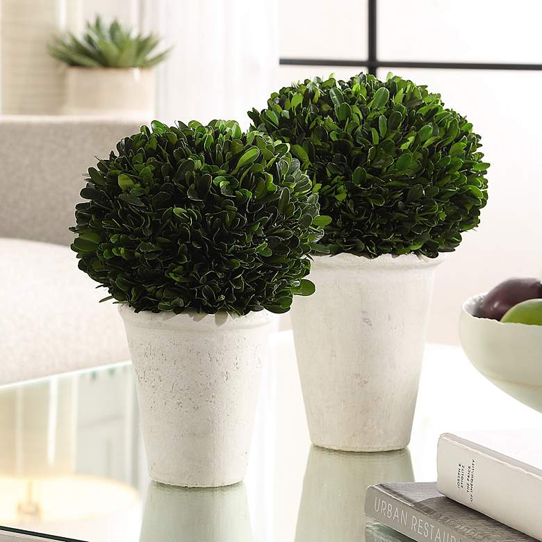 Image 3 Uttermost Preserved Boxwood 2-Piece Domes more views