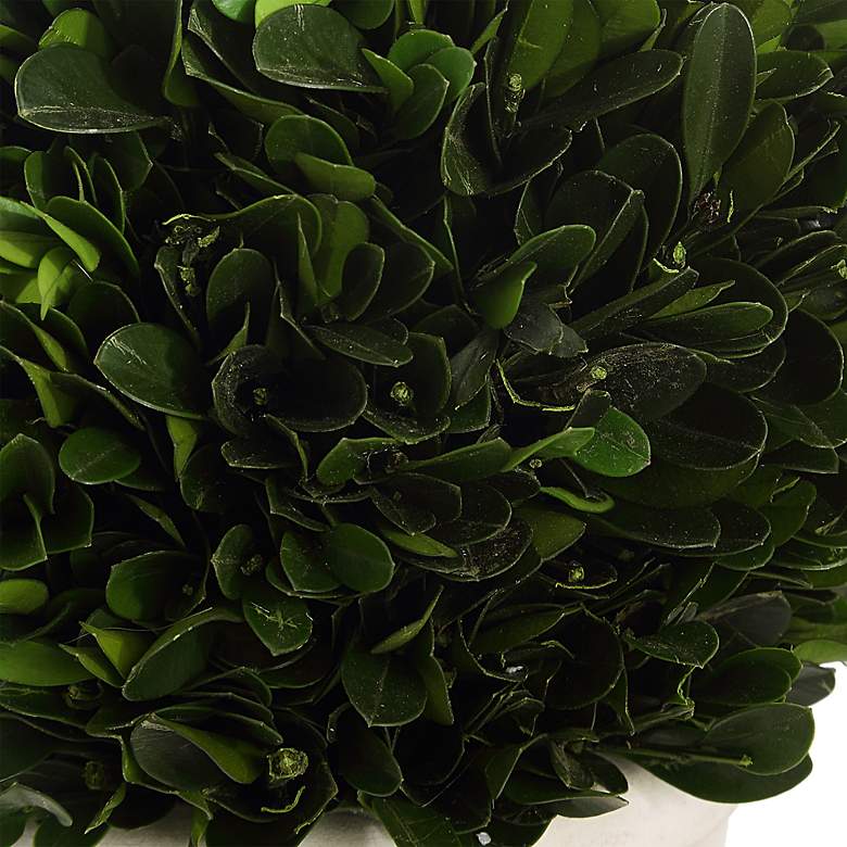 Image 4 Uttermost Preserved Boxwood 2-Piece Domes more views