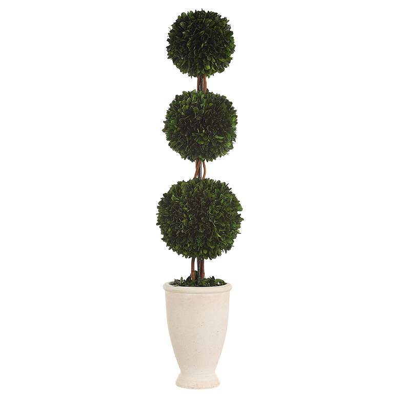 Image 2 Uttermost Preserved Boxwood 33 1/2" High Triple Topiary