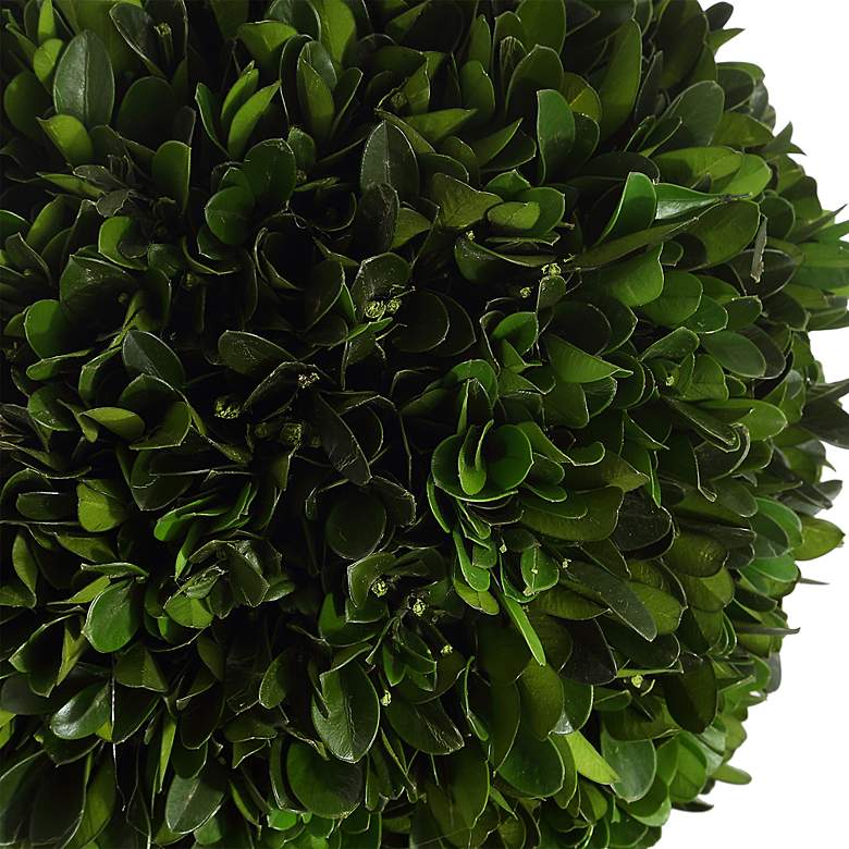 Image 3 Uttermost Preserved Boxwood 33 1/2" High Triple Topiary more views