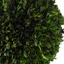 3_Uttermost Preserved Boxwood 33 1/2" High Triple Topiary more views