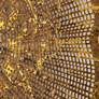 Thumbnail4 of Uttermost Radiance 3-Piece Gold Metal Wall Decor more views