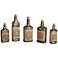 Uttermost Recycled Mercury Glass Bottles Set of 5