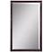 Uttermost Renzo Bronze 20" x 32" Vanity Wall Mirror