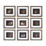 2_Uttermost Resting Bunny 9-Piece Framed Prints