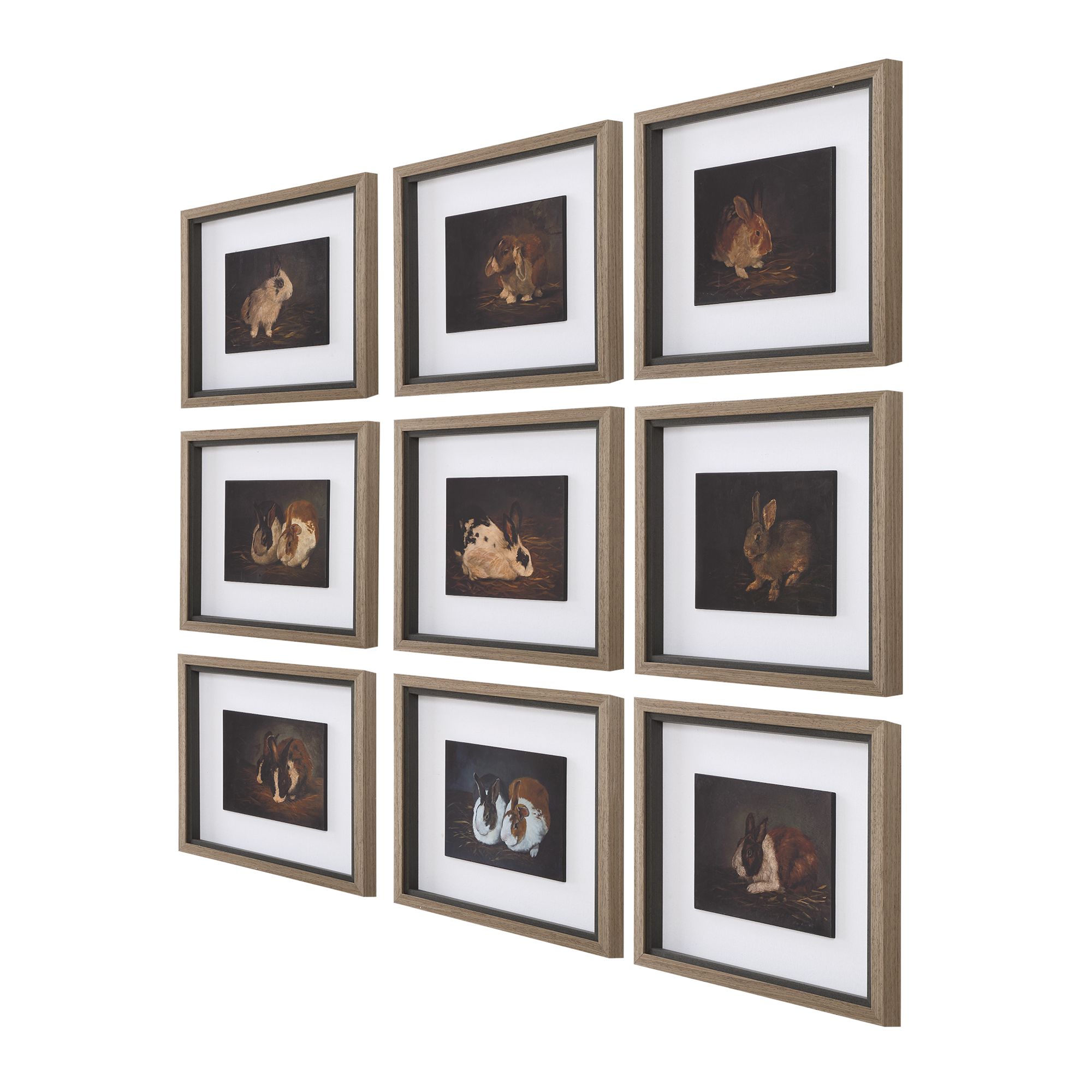 Uttermost Resting Bunny 9-Piece Framed Prints