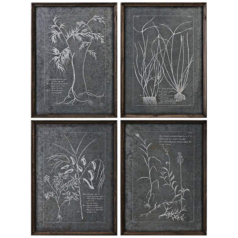 Image 2 Uttermost Root Study 4-Piece 23 3/4 inchH Framed Wall Art Set