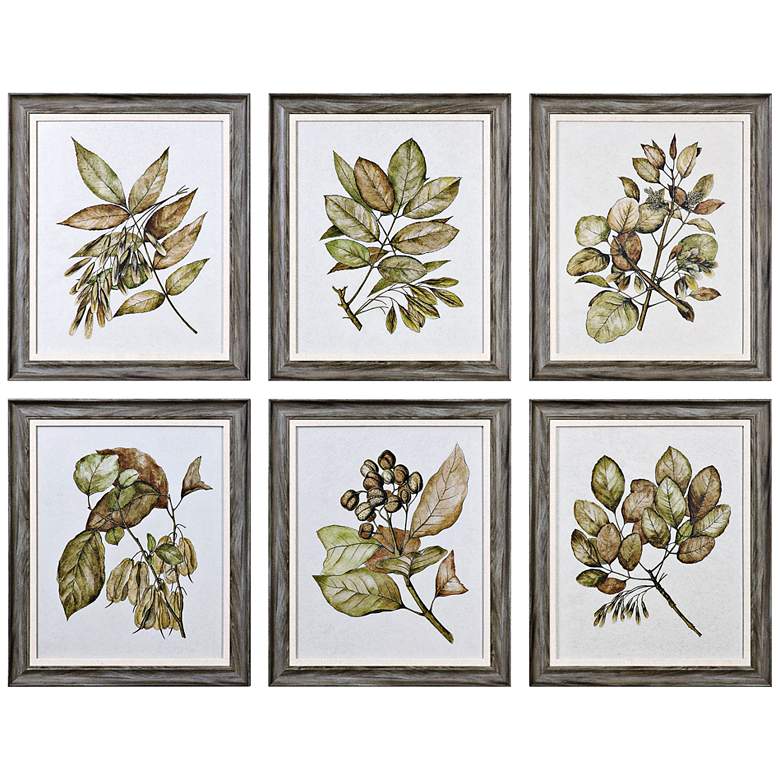 Image 2 Uttermost Seedlings 6-Piece 24 1/4 inch High Wall Art Set