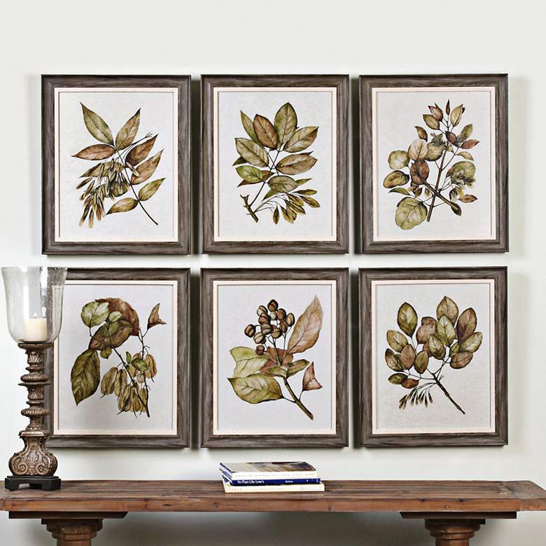 Image 1 Uttermost Seedlings 6-Piece 24 1/4 inch High Wall Art Set