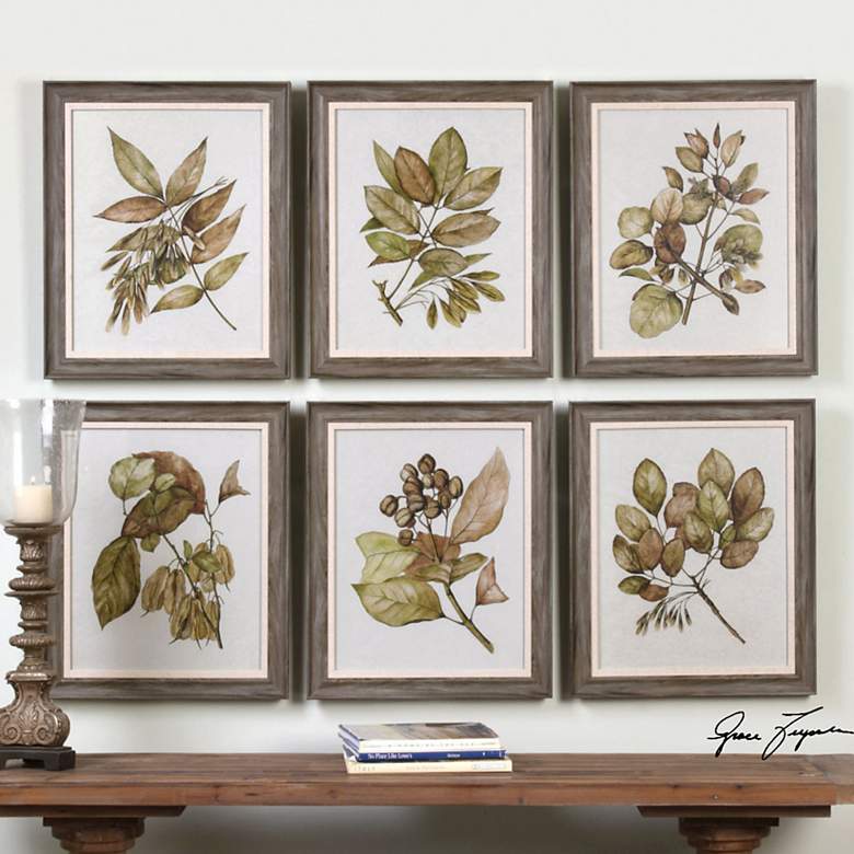 Image 1 Uttermost Seedlings 6-Piece 24 1/4 inch High Wall Art Set