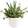 Uttermost Sundown 16 1/2" Succulent Accent