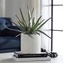 1_Uttermost Taos Aloe Centerpiece