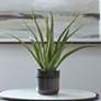 1_Uttermost Tucson Green Aloe 19"H Faux Planter in Ceramic Pot