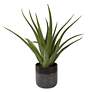 3_Uttermost Tucson Green Aloe 19"H Faux Planter in Ceramic Pot more views